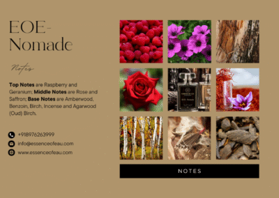 EOE-NOMADE - Image 4