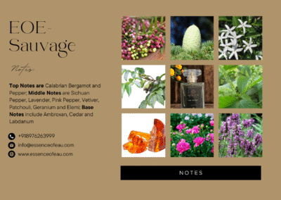 EOE-SAUVAGE - Image 4
