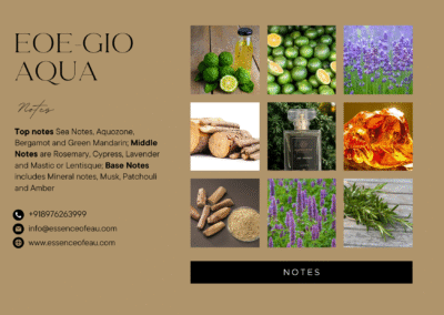 EOE-GIO AQUA - Image 4