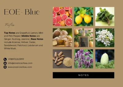 EOE-BLUE - Image 4