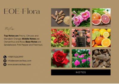 EOE-FLORA - Image 4